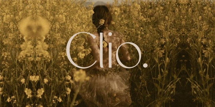 HV Clio Font Download