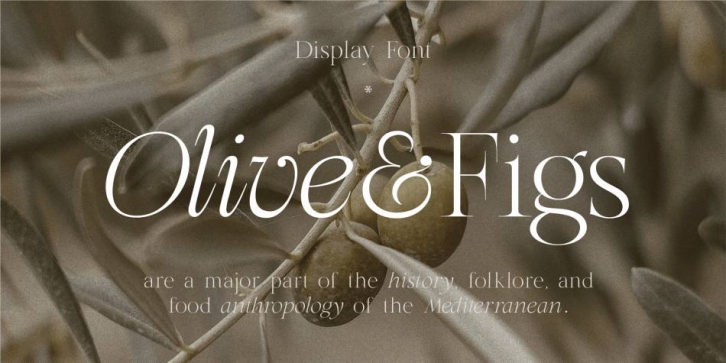 HV Olive and Figs Font Download