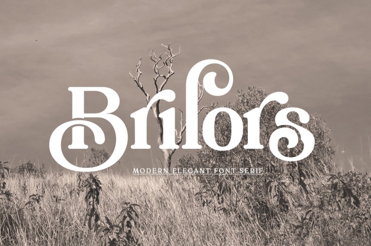 Brilors Serif Font Download
