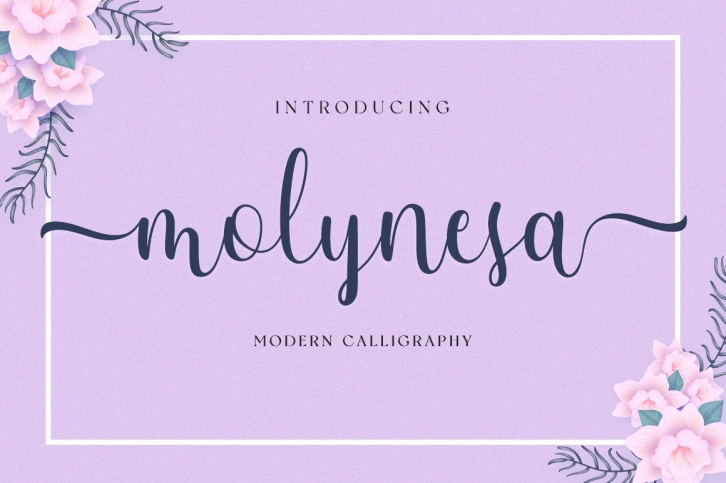 Molynesa Font Download