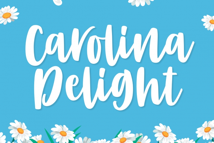 Carolina Delight Font Download