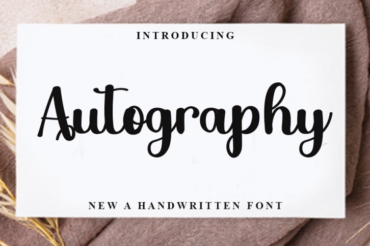 Autography Font Download