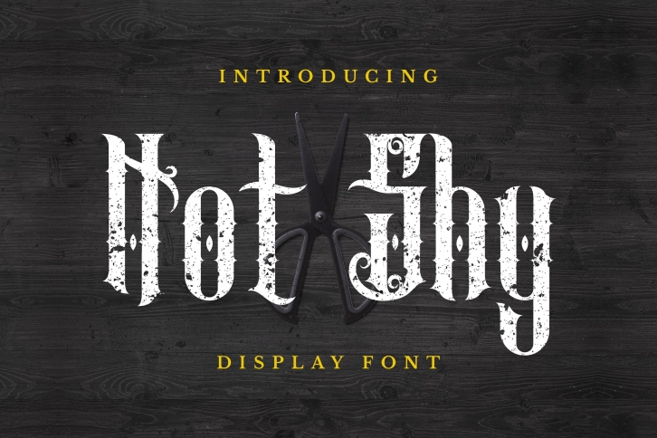 Not Shy Font Download
