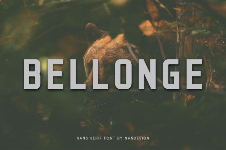 Bellonge Font Download