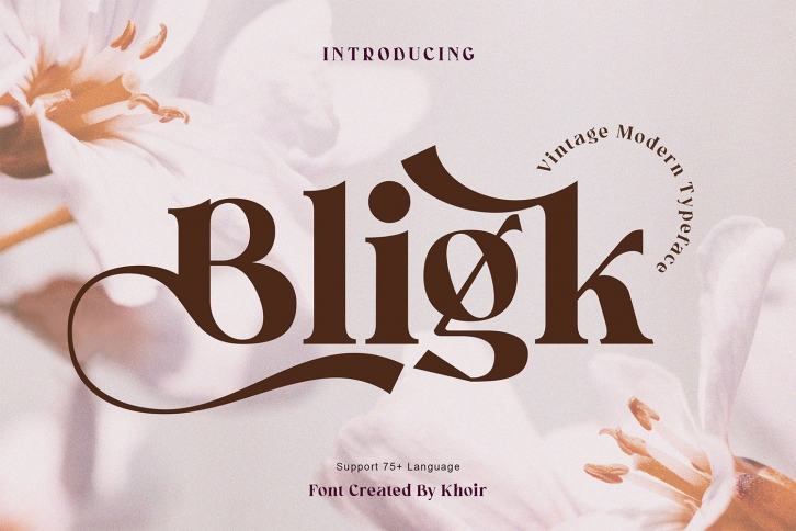 Bligk Font Download