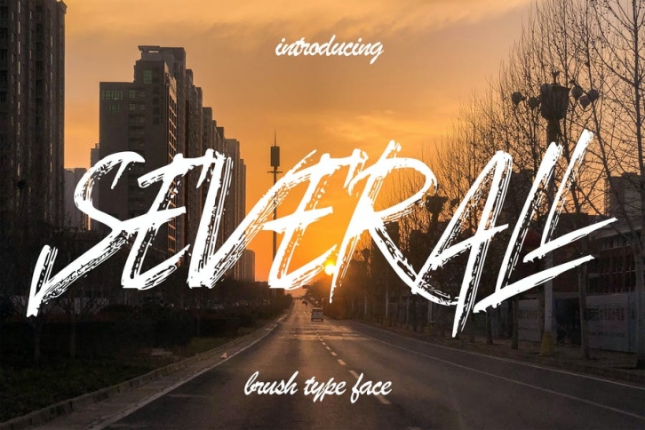 BG Severall - Brush Typeface font Font Download