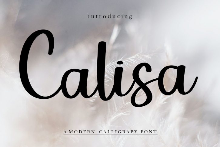 Calisa Font Download