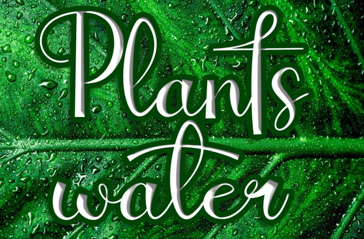 Plantswater Font Download