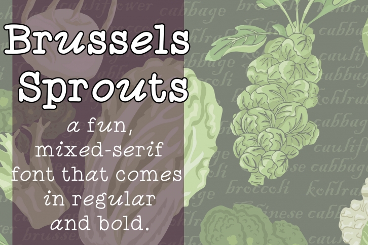 Brussels Sprouts Font Download