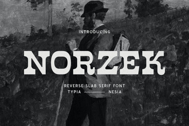 Norzek - Retro Vintage Reverse Slab Serif Font Font Download