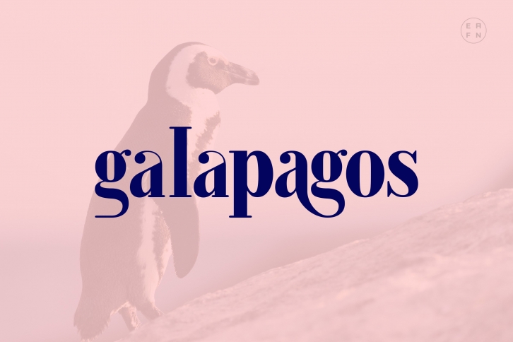 Galapagos Font Download