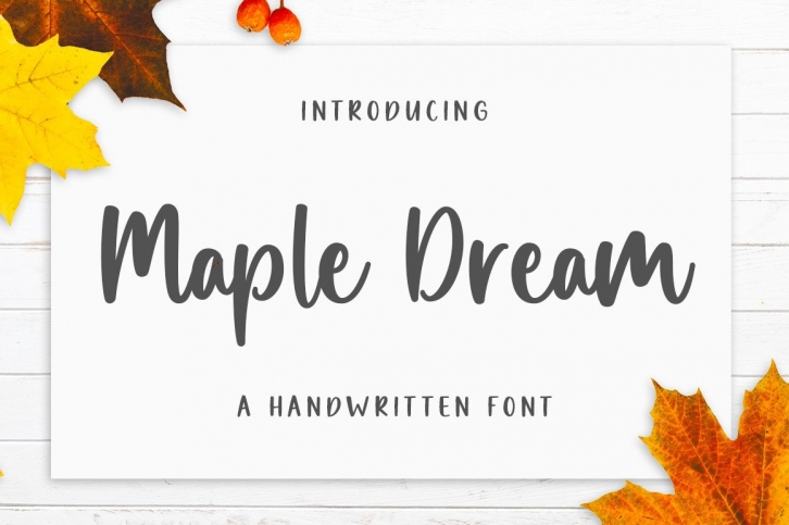 Maple Dream Font Download