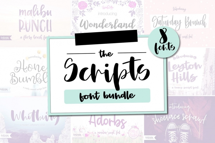 Scripts Bundle, 8 fonts Font Download