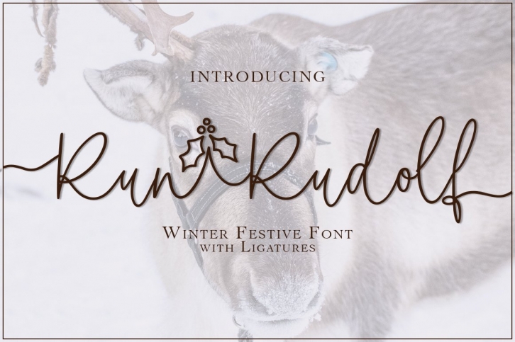 Run Rudolf Font Download