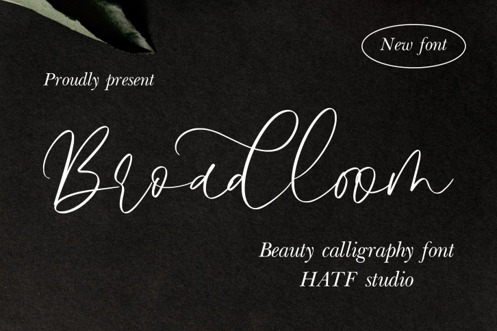 Broadloom Font Download