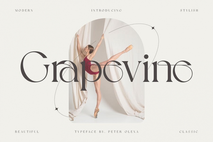 Grapevine - Modern Serif Font Font Download