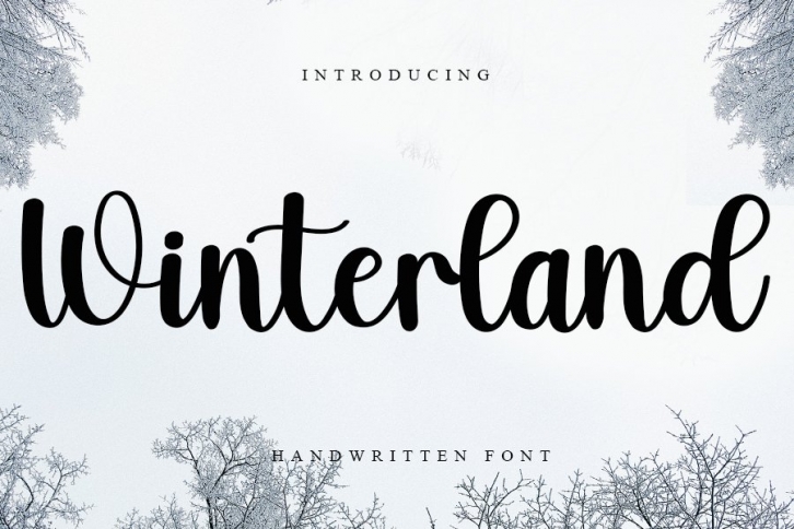 Winterland Font Download