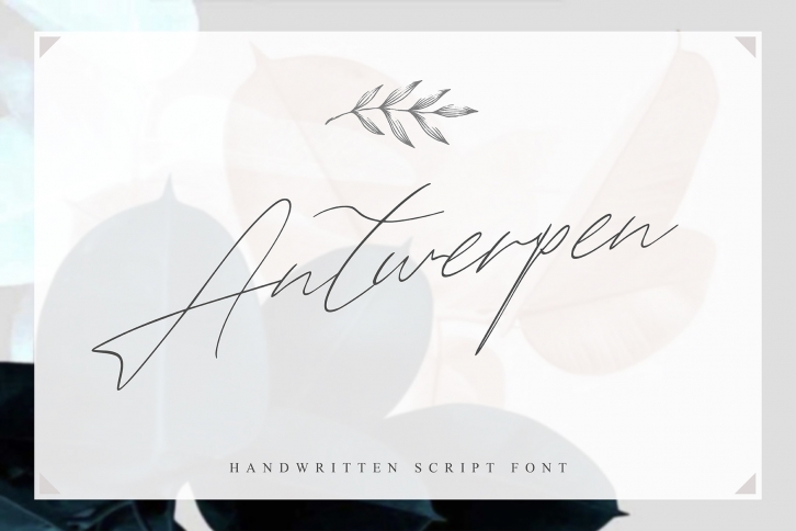 Antwerpen Font Download