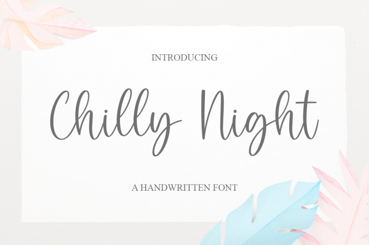 Chilly Night Font Download