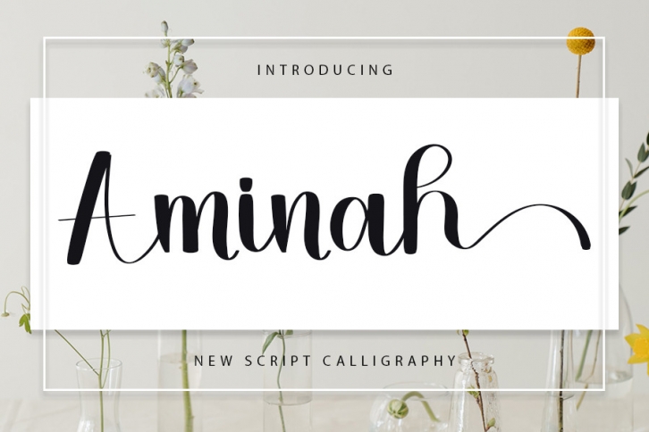 Aminah Font Download