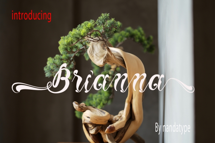 Brianna Font Download