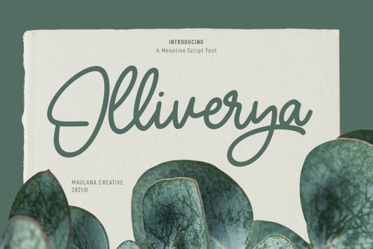 Olliverya Monoline Script Font Font Download