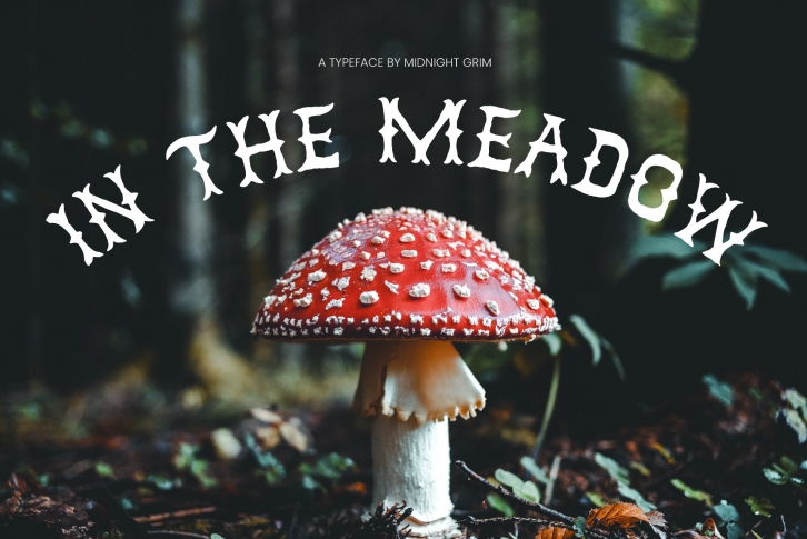 In the Meadow Font Download