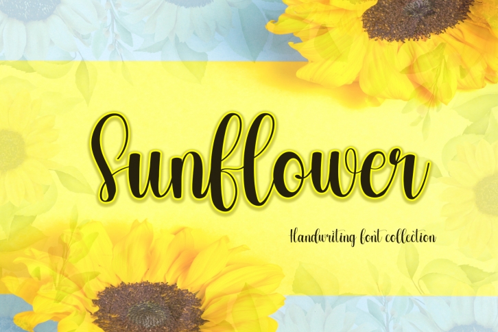 Sunflower Font Download