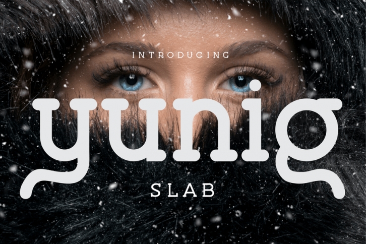 Yunig - Serif Font Font Download