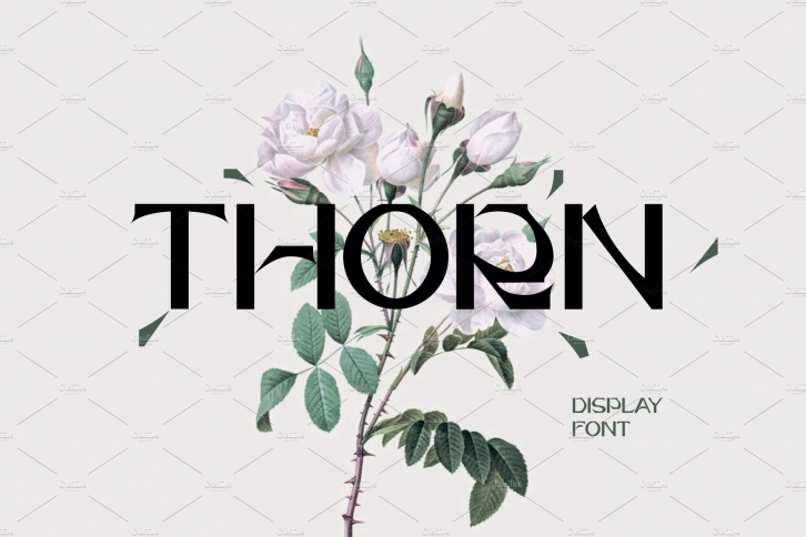 Thorn Font Download