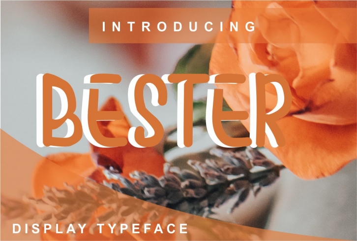 Bester Font Download