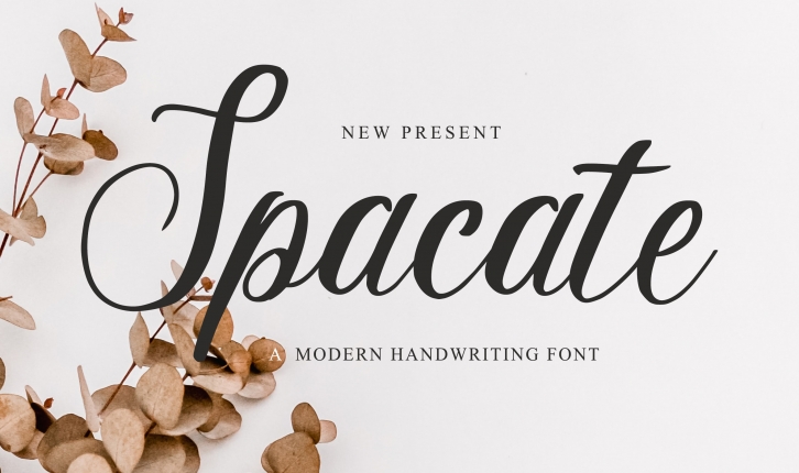 Spacate Font Download