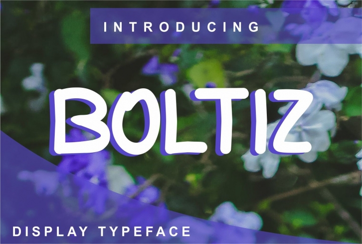 Boltiz Font Download