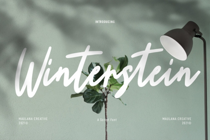 Winterstein Script Brush Font Font Download