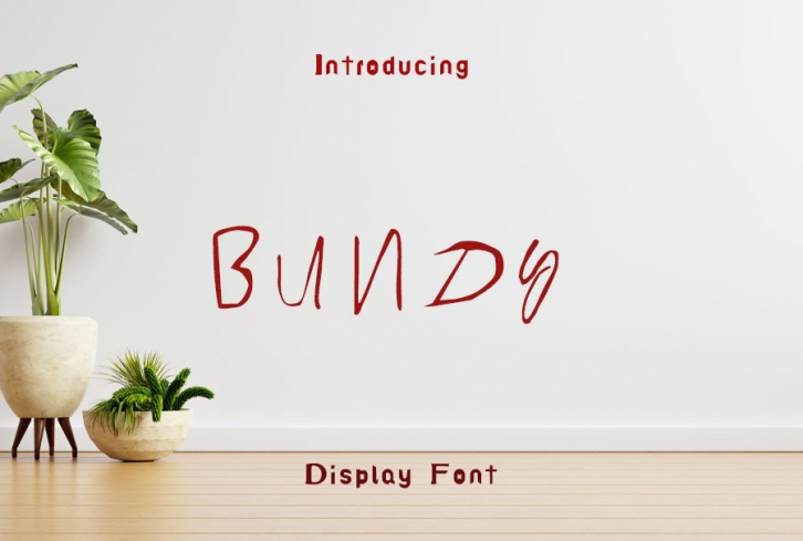 Bundy Font Download