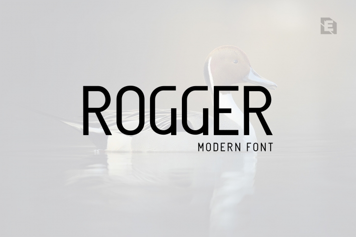 Rogger Font Download