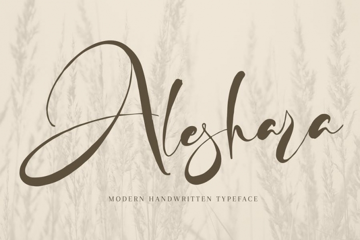 Aleshara Font Download