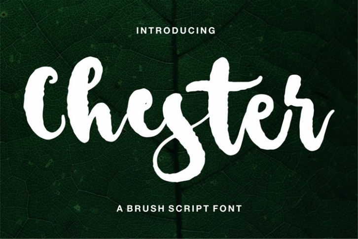 Chester Font Download