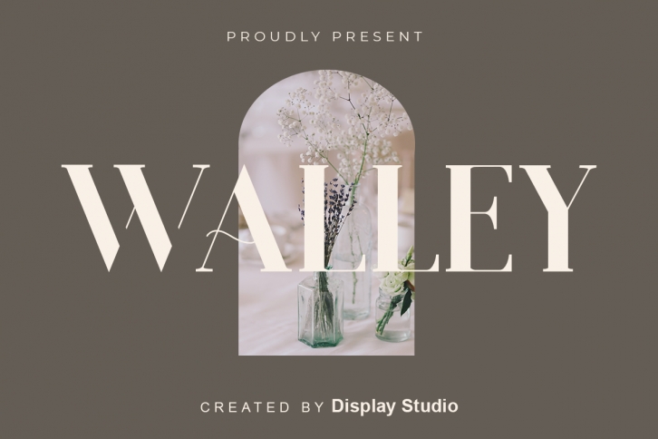 WALLEY Font Download
