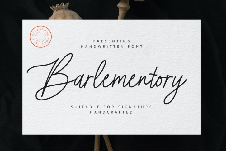 Barlementory Font Font Download
