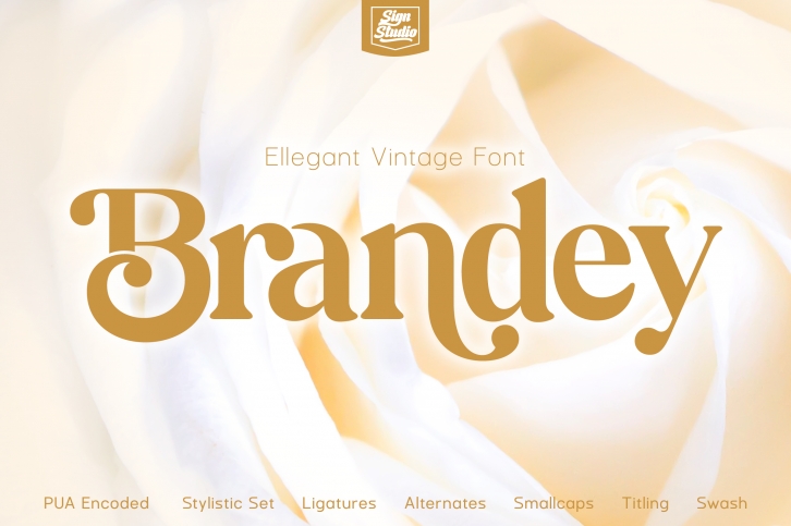 Brandey Font Download