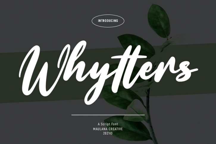 Whytters Script Font Font Download