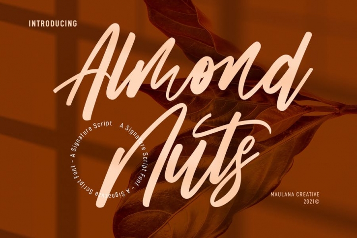 Almond Nuts Signature Script Font Font Download