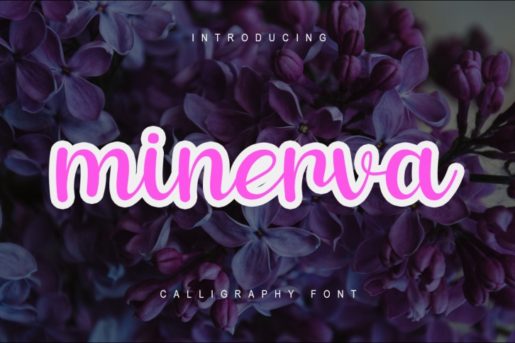 Minerva Font Download