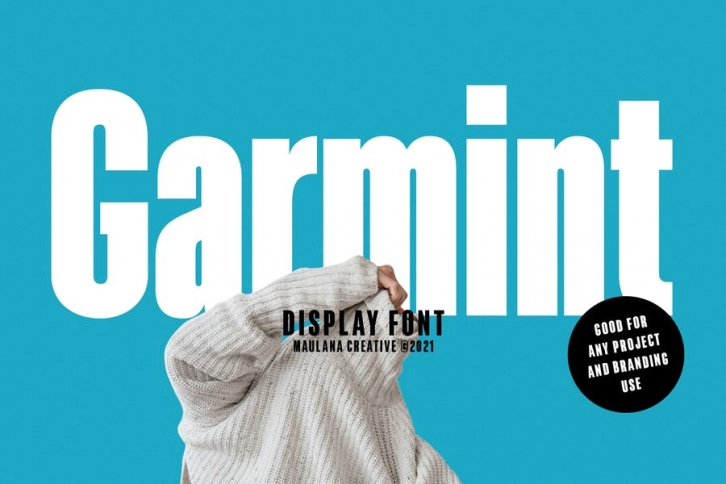 Garmint Sans Serif Display Font Font Download