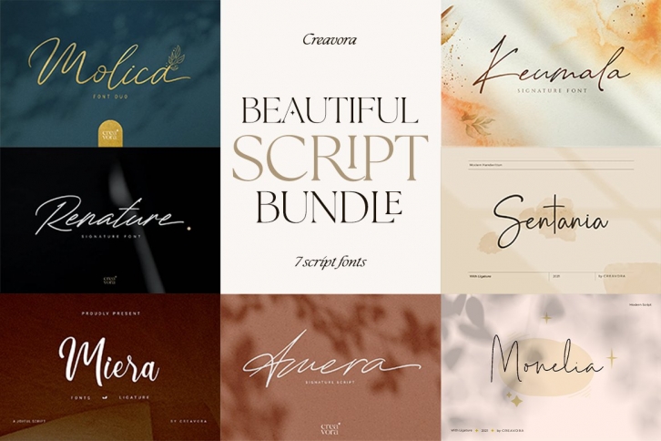 Beautiful Script Bundle Font Download