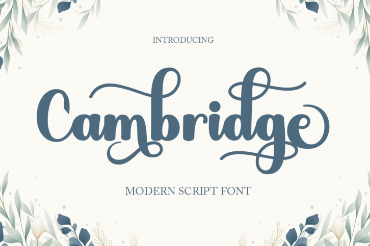 Cambridge Font Download