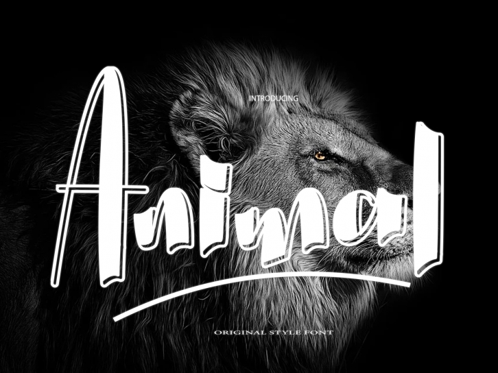 Animal Font Download