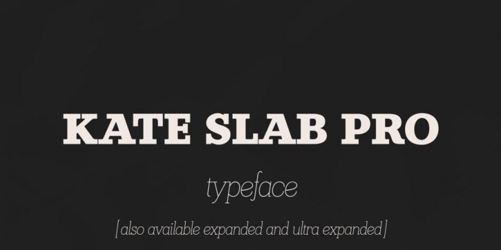 Kate Slab Pro Font Download