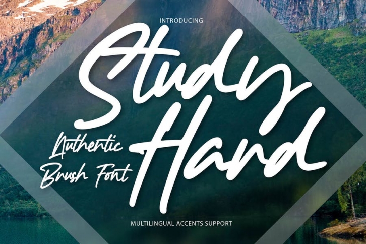 Study Hard - Authentic Brush Font Font Download